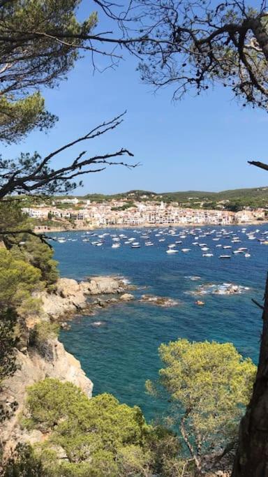 The Golden Oak In Calella Centre - 100M From Beach Palafrugell Kültér fotó